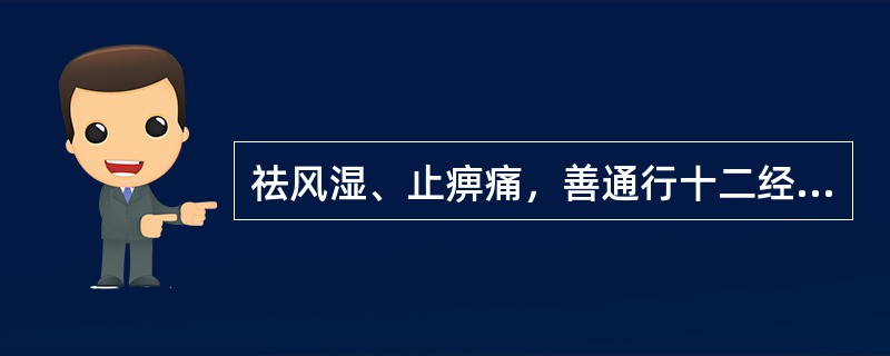 祛风湿、止痹痛，善通行十二经脉的药是（）