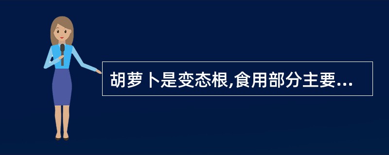 胡萝卜是变态根,食用部分主要是次生韧皮部。()