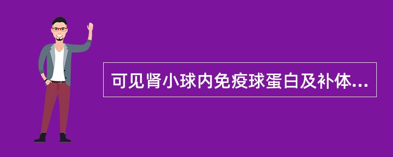 可见肾小球内免疫球蛋白及补体的沉积的肾小球肾炎有