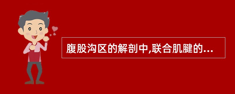 腹股沟区的解剖中,联合肌腱的构成包括