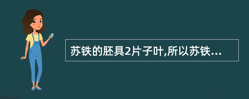 苏铁的胚具2片子叶,所以苏铁是双子叶植物。()