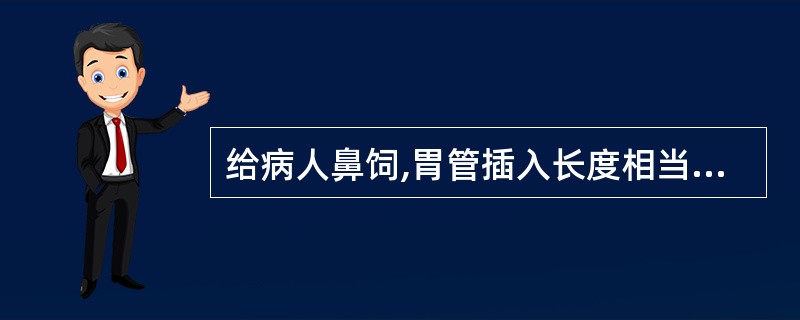 给病人鼻饲,胃管插入长度相当于病人的( )。