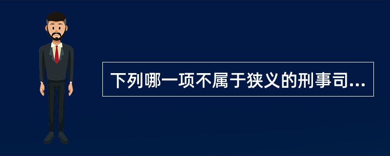 下列哪一项不属于狭义的刑事司法协助?