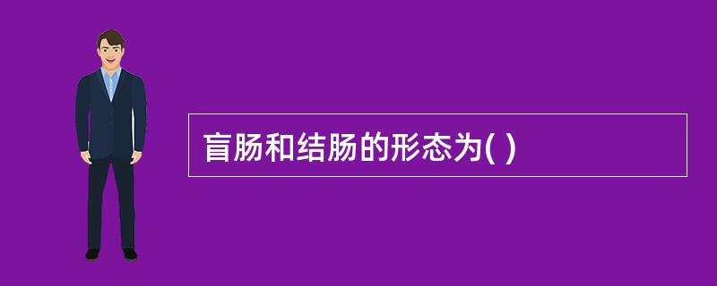 盲肠和结肠的形态为( )