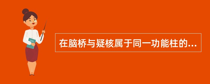 在脑桥与疑核属于同一功能柱的核团是( )