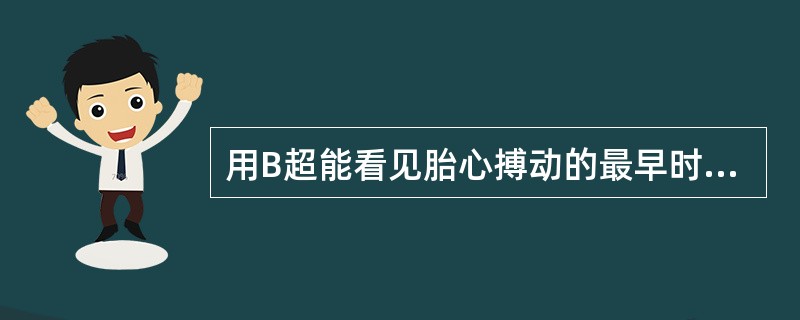 用B超能看见胎心搏动的最早时期是