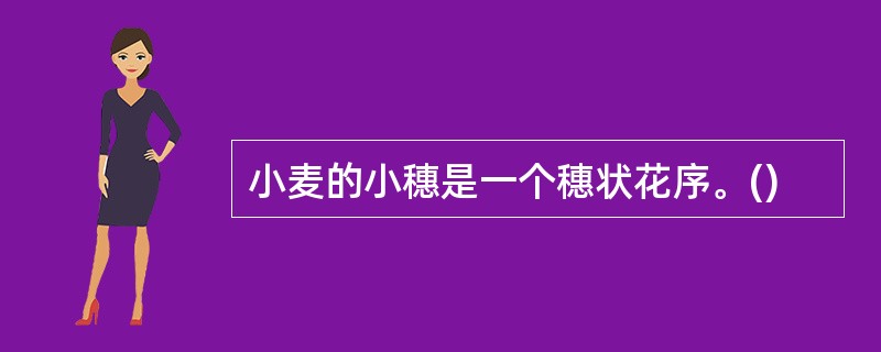 小麦的小穗是一个穗状花序。()