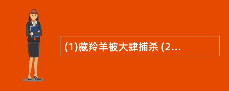 (1)藏羚羊被大肆捕杀 (2)颁布保护藏羚羊的有关法规 (3)藏羚羊数量有所回升