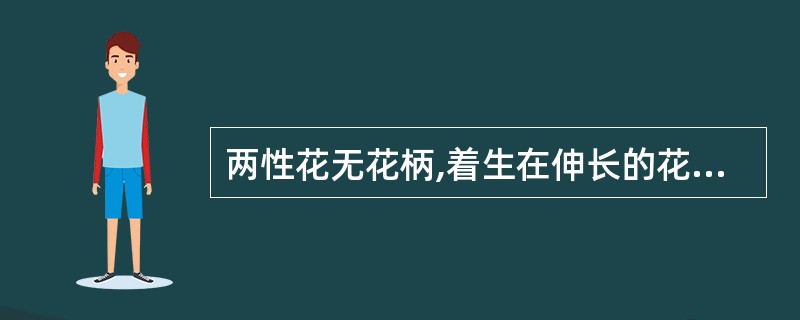 两性花无花柄,着生在伸长的花轴上称()。