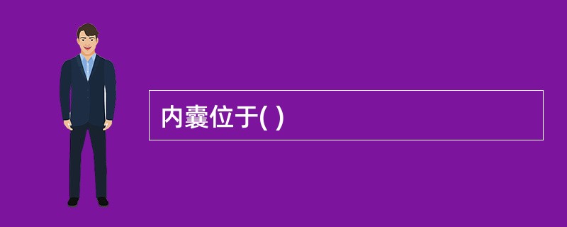 内囊位于( )