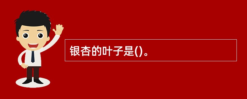 银杏的叶子是()。