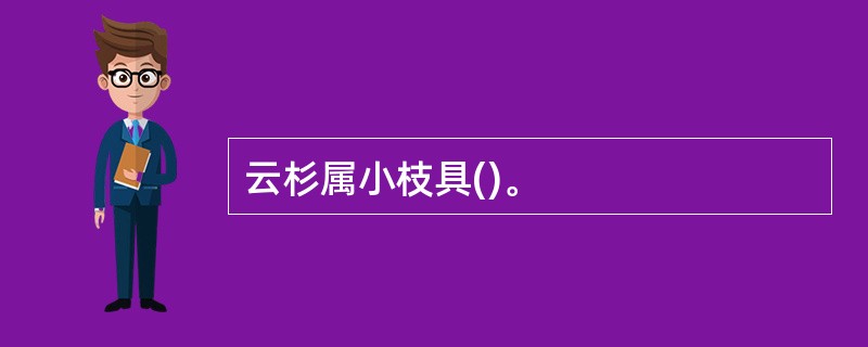 云杉属小枝具()。