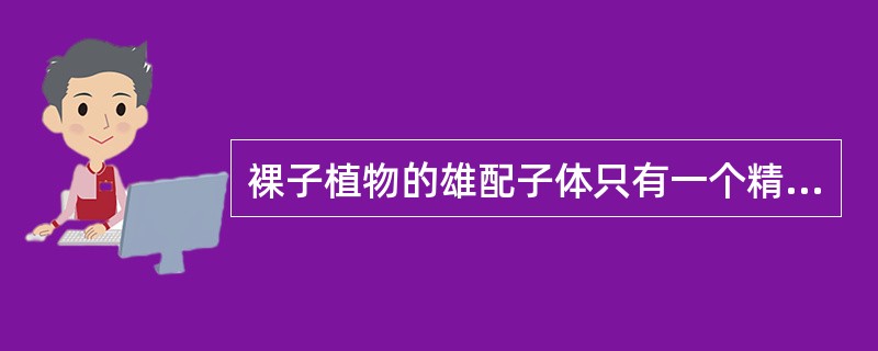 裸子植物的雄配子体只有一个精子,所以不能进行双受精。()