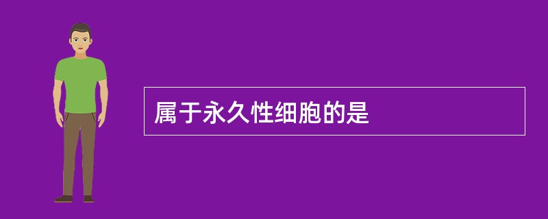 属于永久性细胞的是