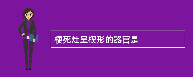 梗死灶呈楔形的器官是