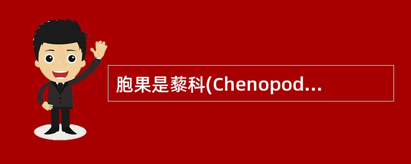 胞果是藜科(Chenopodiaceae)的一个识别特点。()