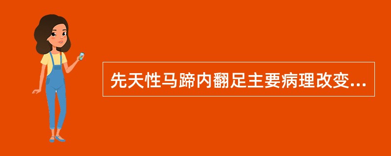 先天性马蹄内翻足主要病理改变是()。