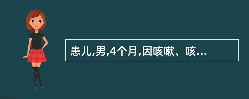 患儿,男,4个月,因咳嗽、咳痰2d,气急伴发绀2h入院。体检:体温38.7℃、呼