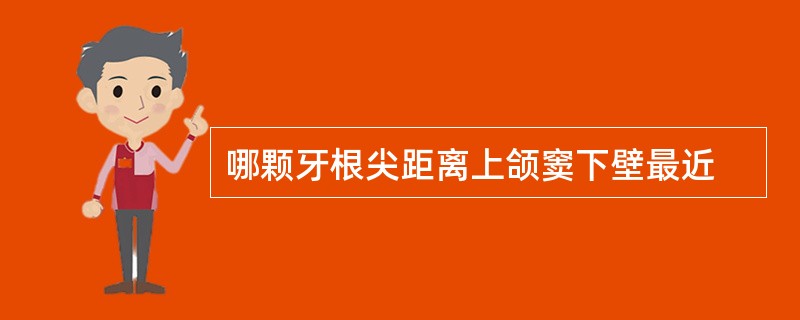 哪颗牙根尖距离上颌窦下壁最近