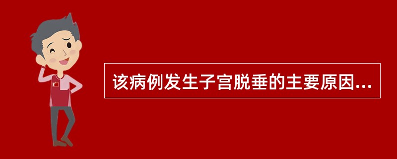 该病例发生子宫脱垂的主要原因是( )