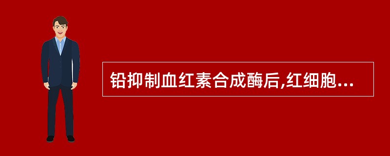 铅抑制血红素合成酶后,红细胞内锌离 子被络合于原卟啉Ⅸ形成