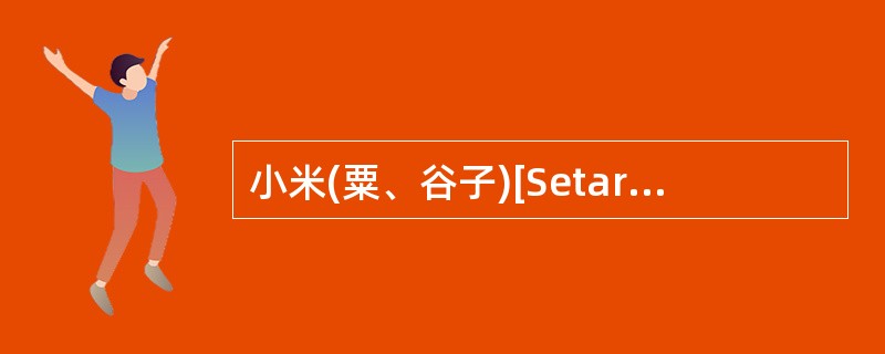 小米(粟、谷子)[Setaria italica(L.)Beauv.]与()同属