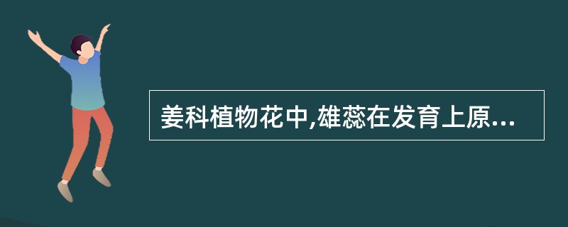 姜科植物花中,雄蕊在发育上原来可能为()。