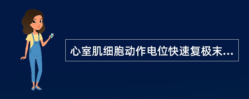 心室肌细胞动作电位快速复极末期( )。