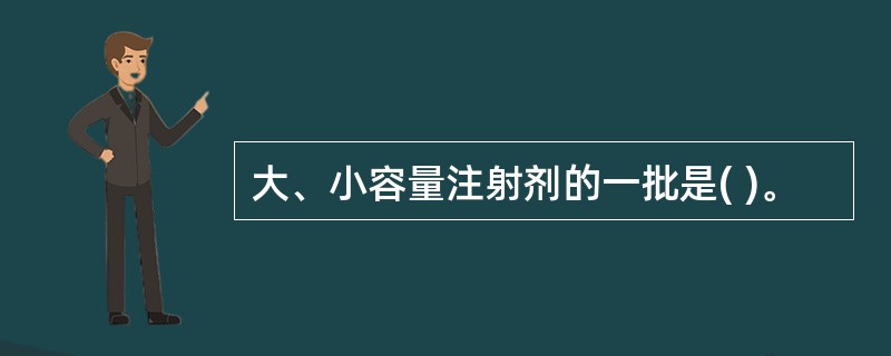 大、小容量注射剂的一批是( )。