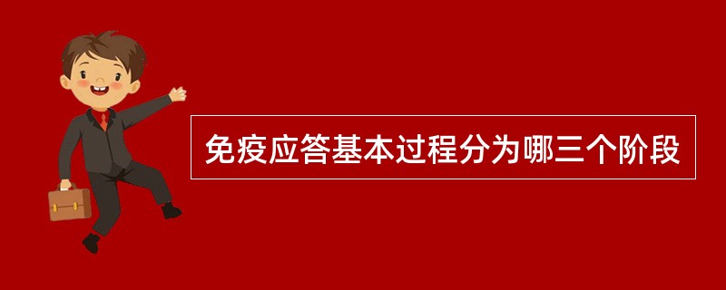 免疫应答基本过程分为哪三个阶段