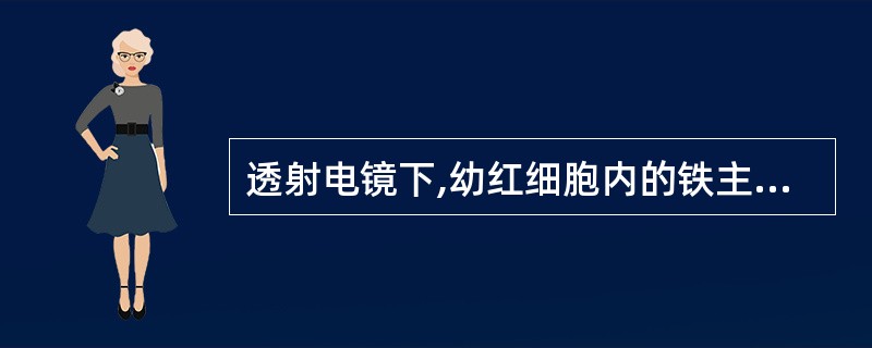 透射电镜下,幼红细胞内的铁主要沉着在