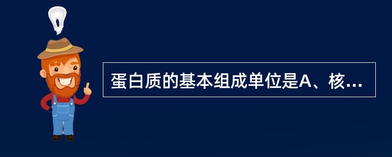 蛋白质的基本组成单位是A、核苷酸B、氨基酸C、肽D、碱基E、二肽