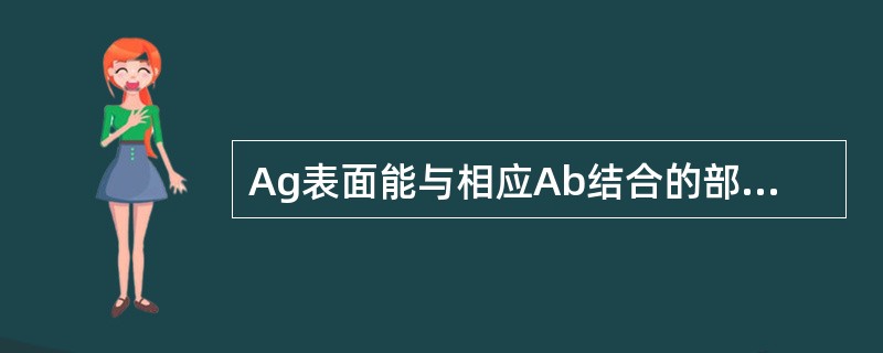 Ag表面能与相应Ab结合的部位称为A、Ab受体B、Ab的配体C、过敏原D、决定基