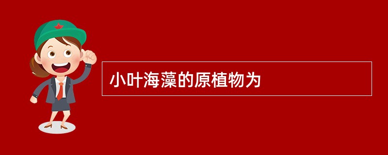 小叶海藻的原植物为