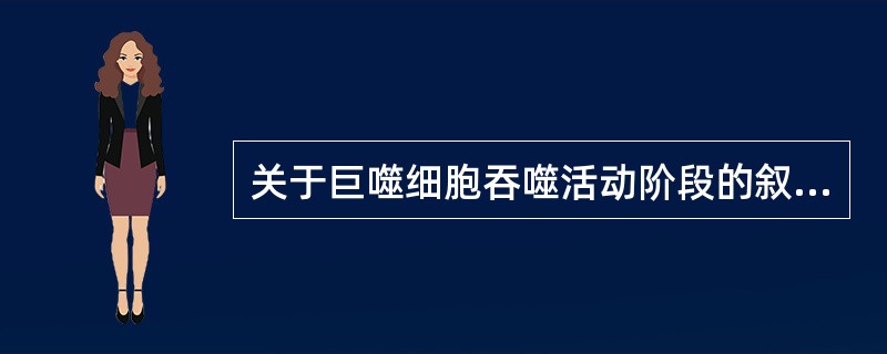 关于巨噬细胞吞噬活动阶段的叙述,正确的是