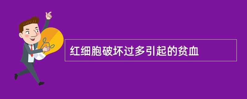 红细胞破坏过多引起的贫血