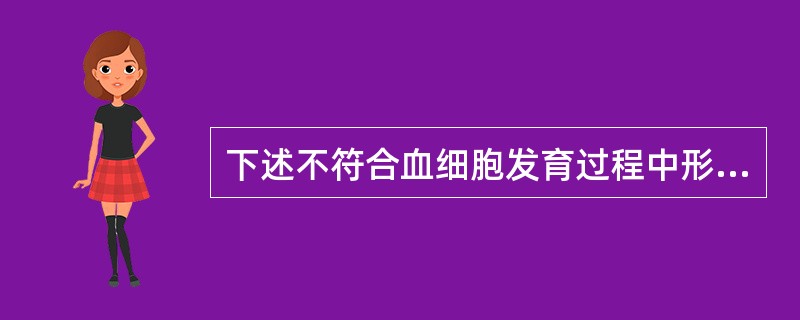 下述不符合血细胞发育过程中形态演变规律的是