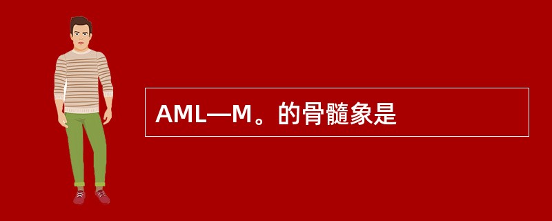 AML—M。的骨髓象是