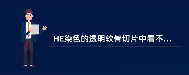 HE染色的透明软骨切片中看不到纤维的原因是()A、纤维在HE染色中不着色B、纤维