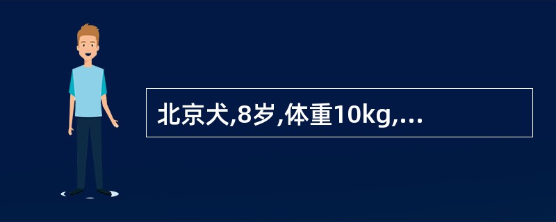 北京犬,8岁,体重10kg,不愿活动,呼吸困难,黏膜发绀。心电图I导联显示:P波