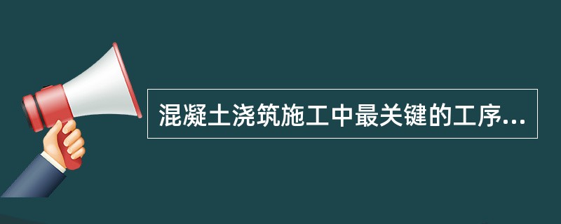 混凝土浇筑施工中最关键的工序是()。A、铺料B、平仓C、振捣D、养护