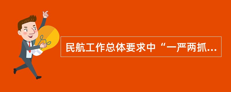 民航工作总体要求中“一严两抓”指的是什么?