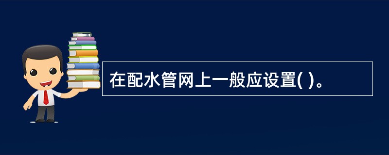 在配水管网上一般应设置( )。