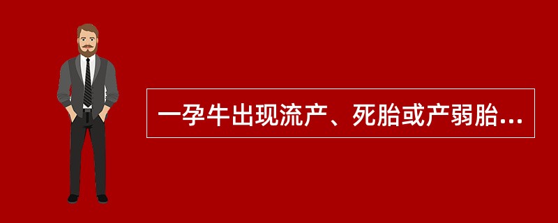 一孕牛出现流产、死胎或产弱胎,生殖道炎症、胎衣滞留,持续排出污灰色或棕红色恶露以