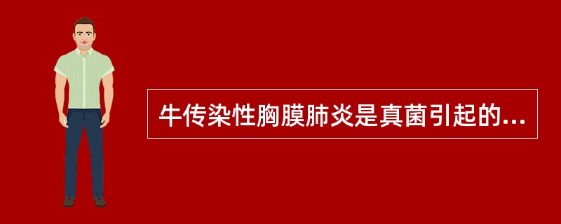 牛传染性胸膜肺炎是真菌引起的牛的纤维素性肺炎和胸膜炎。()