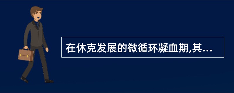 在休克发展的微循环凝血期,其微循环的特点是( ).