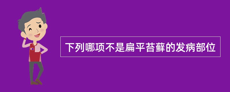 下列哪项不是扁平苔藓的发病部位