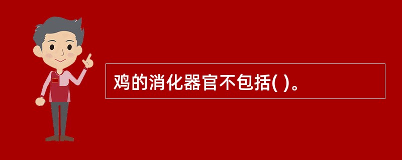 鸡的消化器官不包括( )。