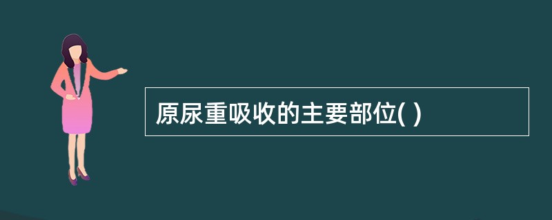 原尿重吸收的主要部位( )