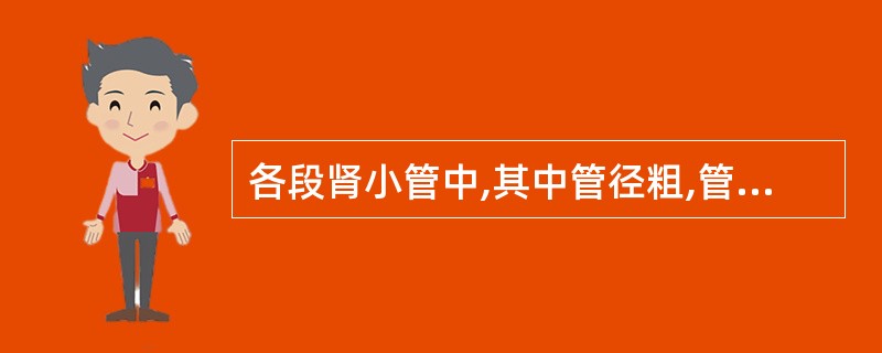 各段肾小管中,其中管径粗,管壁由锥形细胞构成,管腔小而不规则,上皮游离面有大量的